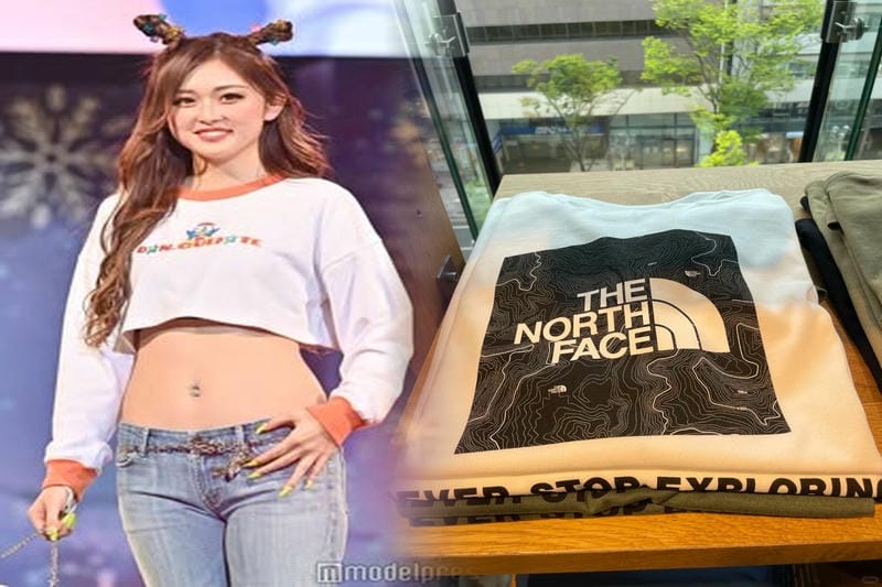 ノース フェイス 型番 ない