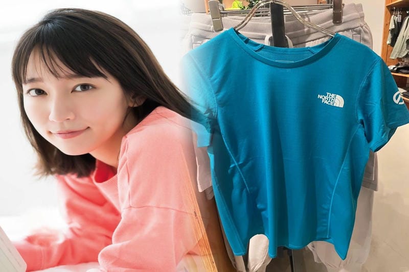 ノース フェイス ノベルティ