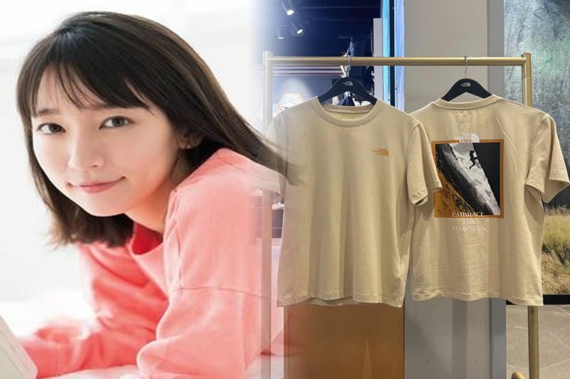 スウィープ ノース フェイス