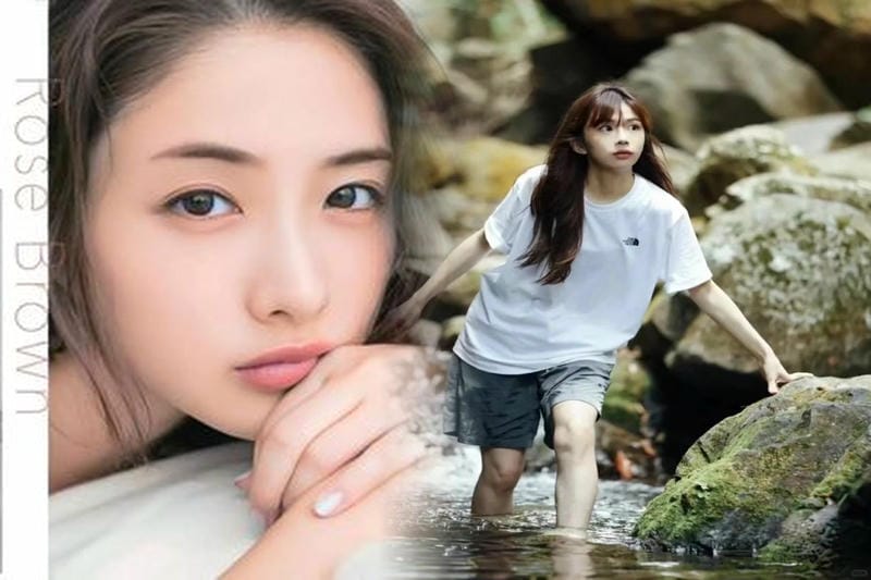 ザ ノース フェイス ベスト