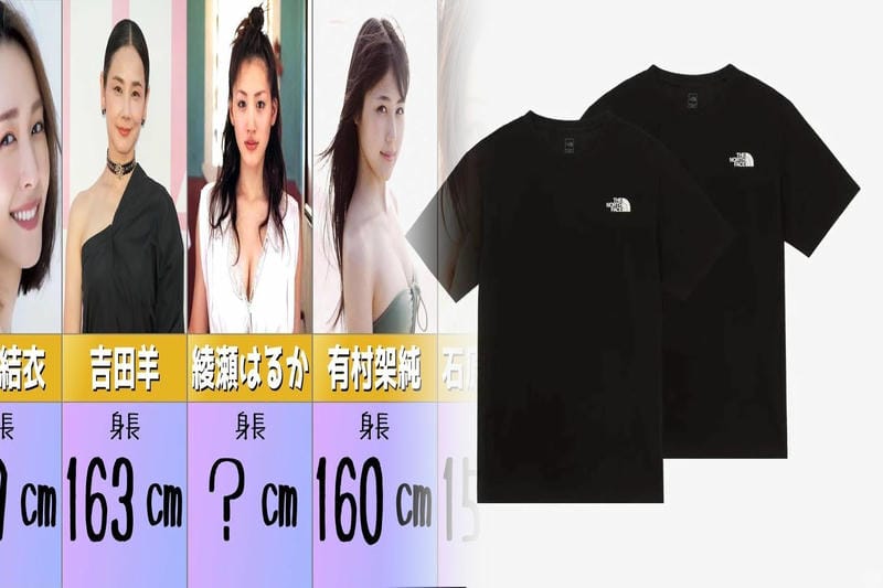 ノース フェイス 昔 の ロゴ