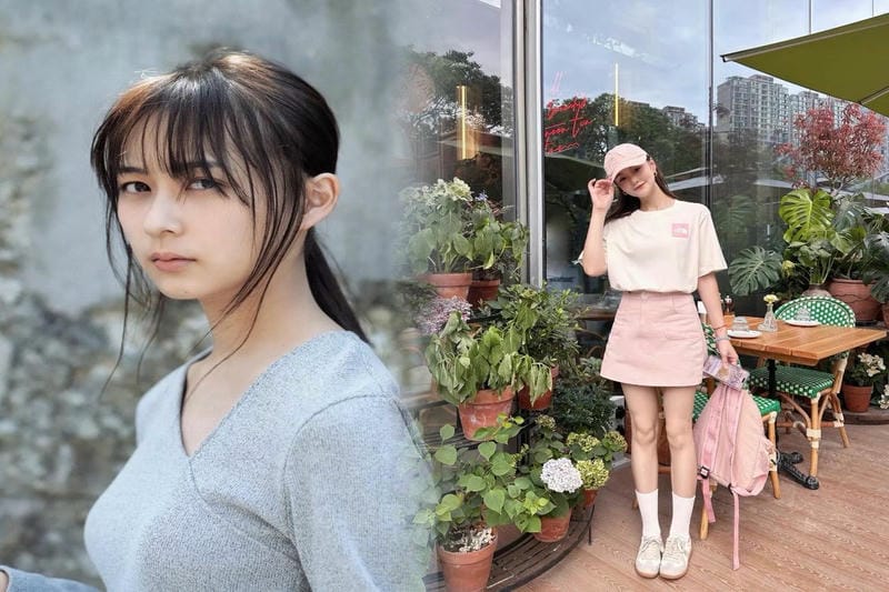 折り畳み 傘 ノース フェイス