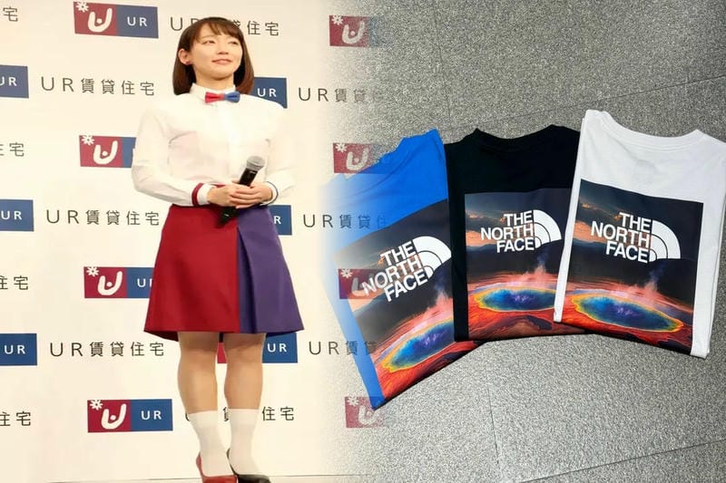 ノース フェイス ステッカー 小