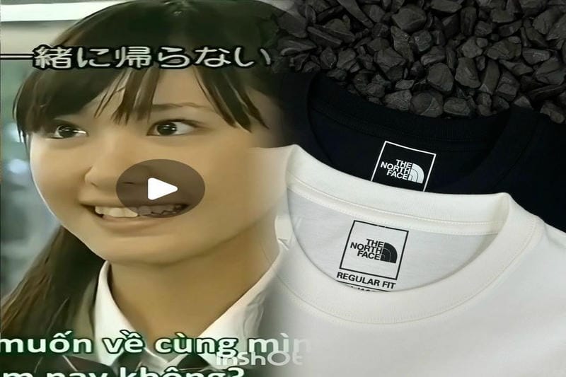 ノース フェイス カイジュー 4
