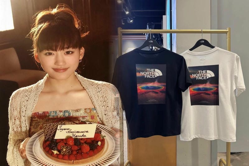 ノース フェイス 犬