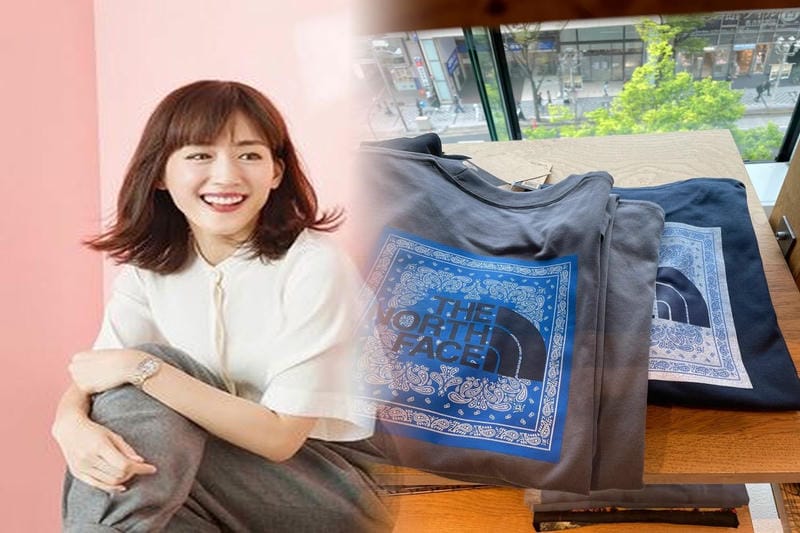 ノース フェイス 極寒