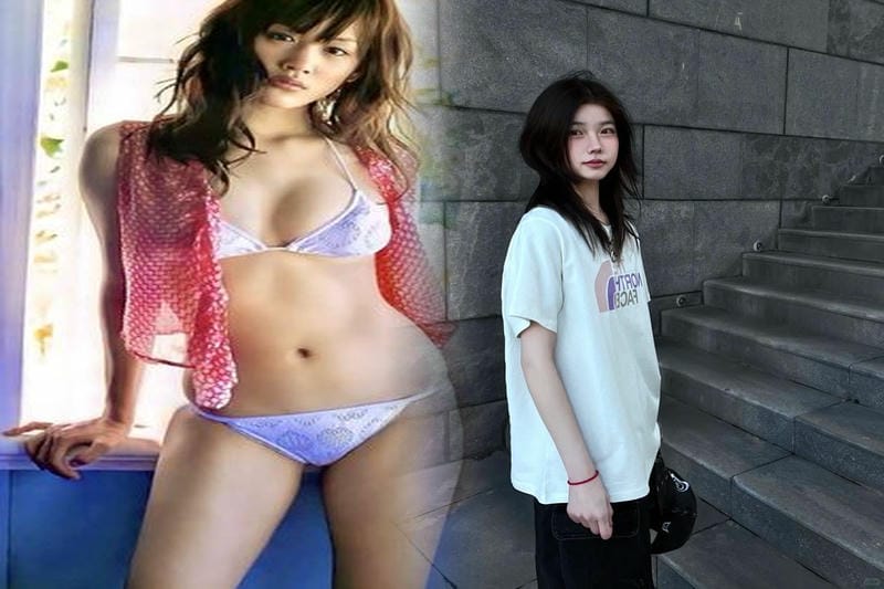 中綿 ノース フェイス