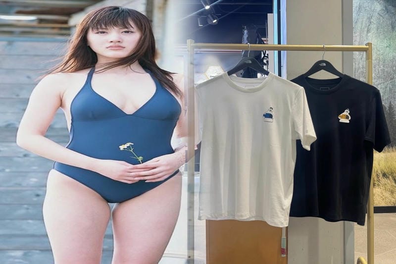 ノース フェイス っ て