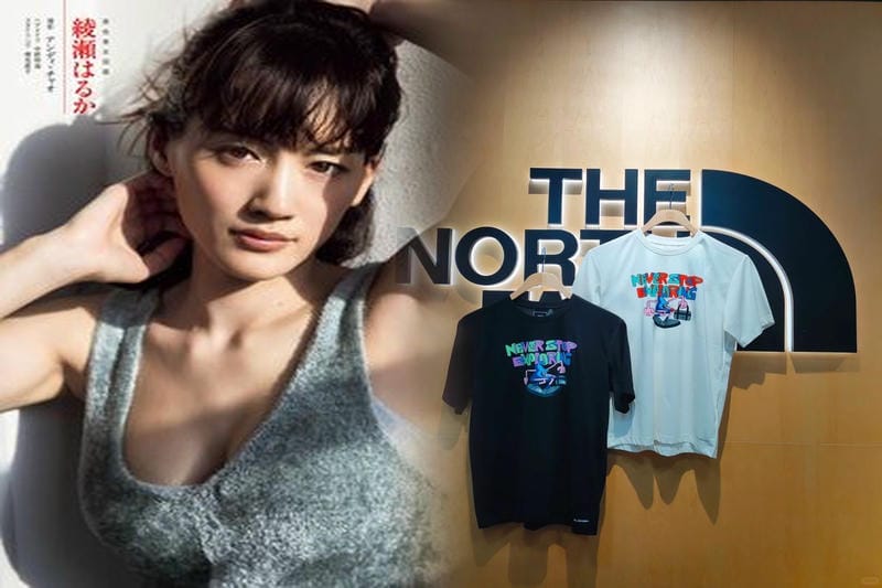 ベスト ノース フェイス