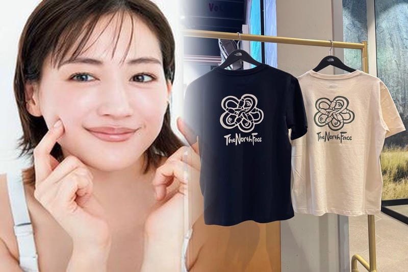 ノース フェイス ロゴ t