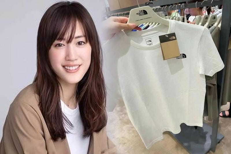 ザ ノース フェイス ロゴ