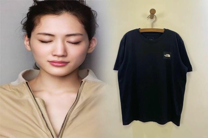 アルペン ノース フェイス