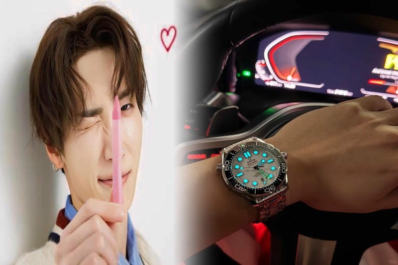 オメガ シーマスター gmt