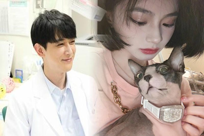 フランク・ミュラー8880のサイズについての詳細