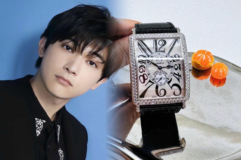 ロベルト カヴァリ by フランクミュラー