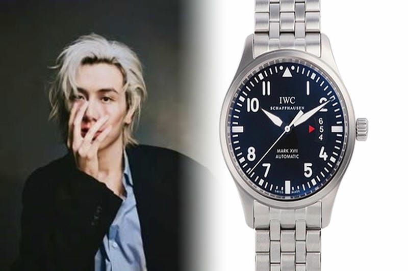 IWC時を刻む芸術極み