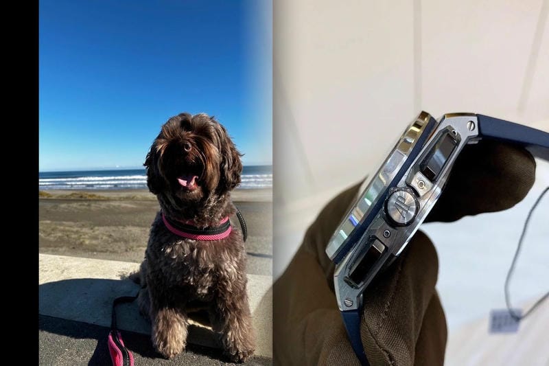 オーデマ ピゲの客層は?