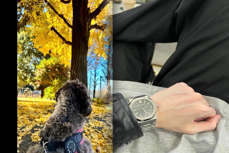 オーデマピゲの型番はどこに記載されていますか？