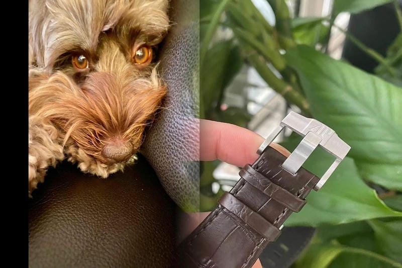 オーデマピゲ レディース 中古