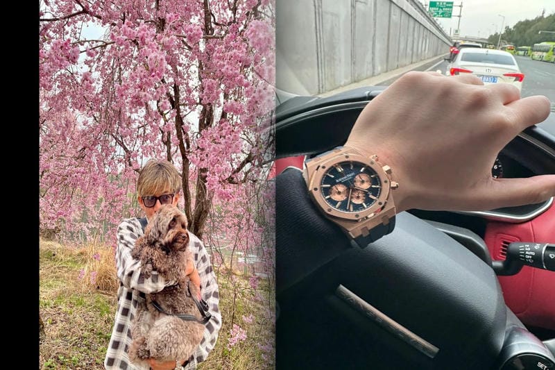 オーデマピゲロイヤルオークの定価と購入方法ガイド