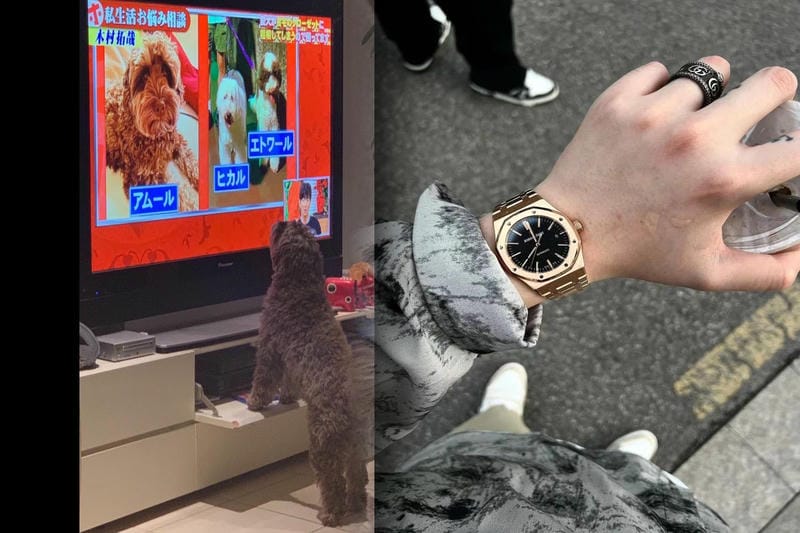 オーデマピゲロイヤルオークの定価と購入ガイド