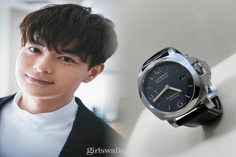 パネライ が特殊兵に変身する