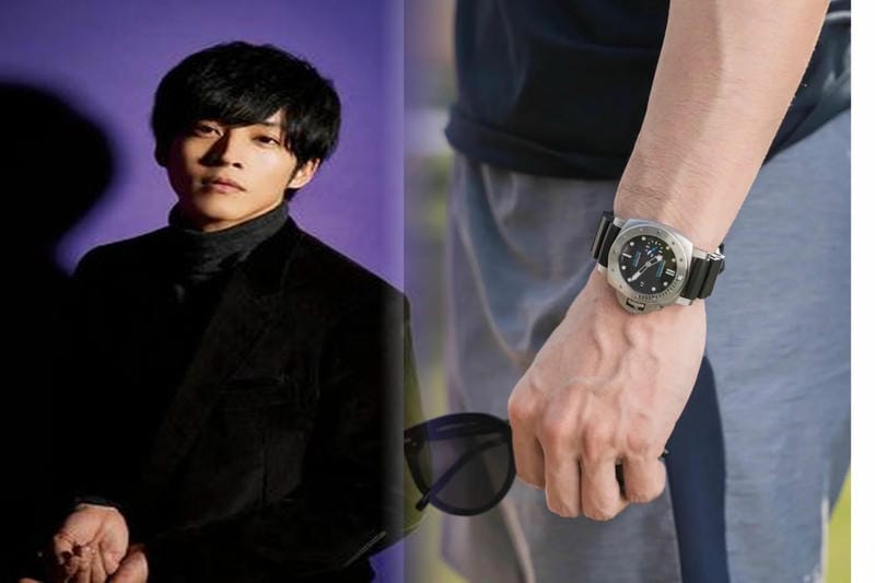 パネライ人を熟知するがすべて明らかで