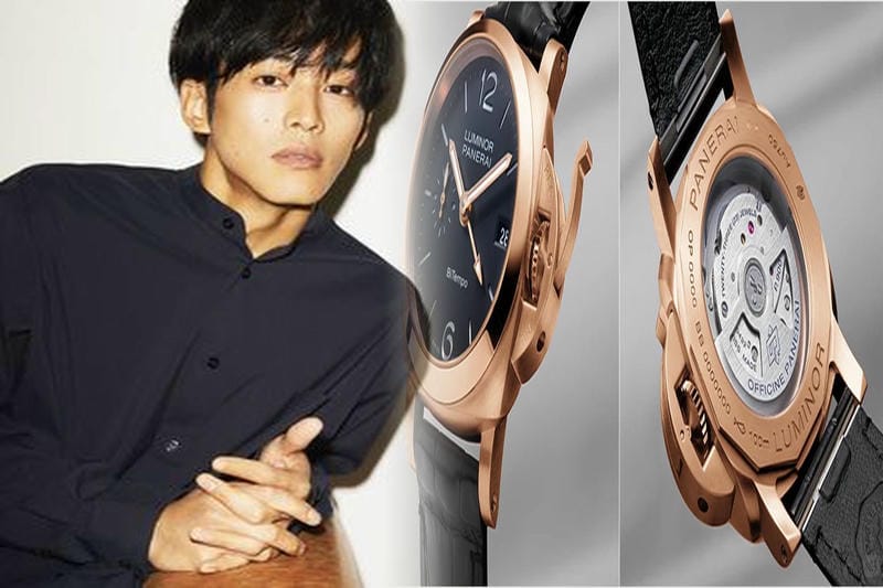 パネライ が特殊兵に変身する