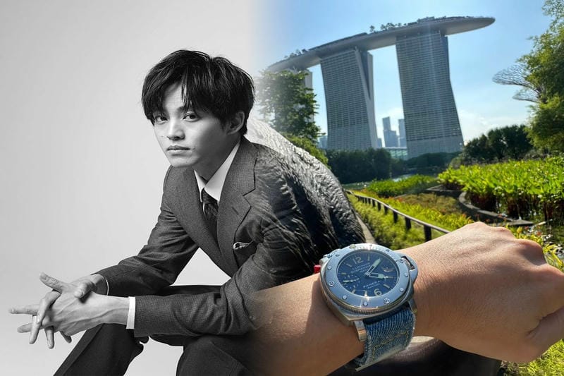 パネライ が特殊兵に変身する