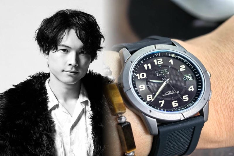 ザ・シチズン / 年差エコ･ドライブ チタニウム 限定モデル AQ4021-51W