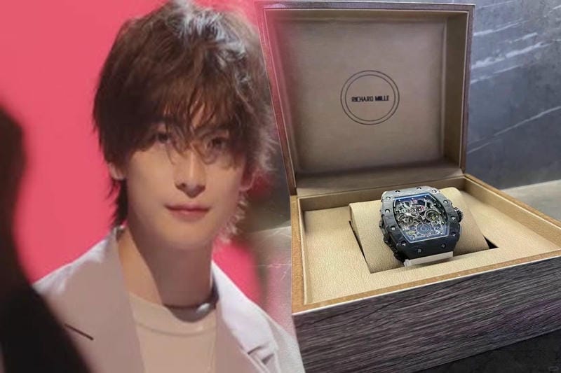 リシャール・ミルRM66の値段はいくらか？