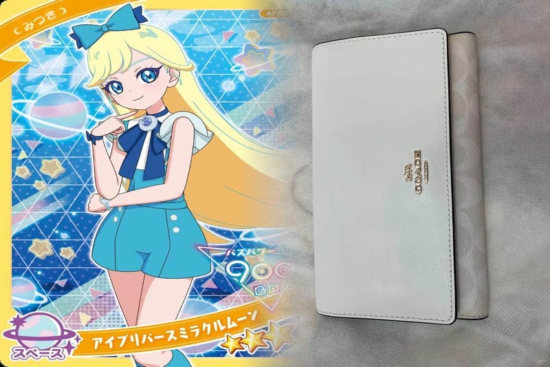 コーチ 定期 入れ レディース