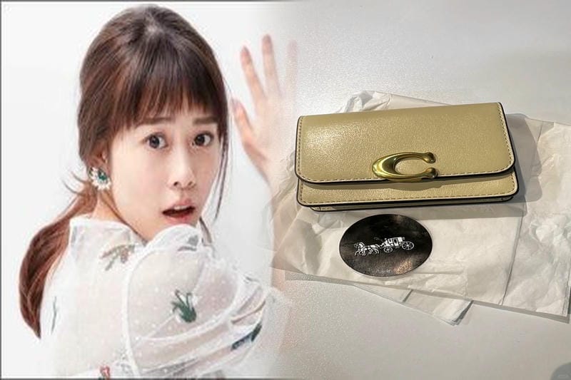 coach キャリー オール