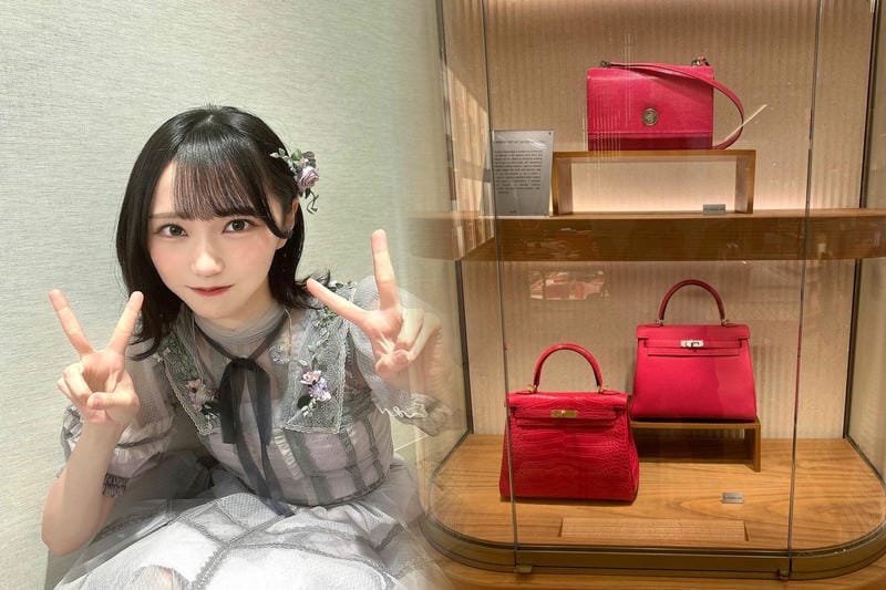 【初心者向け】HERMESエヴリンの選び方ガイド