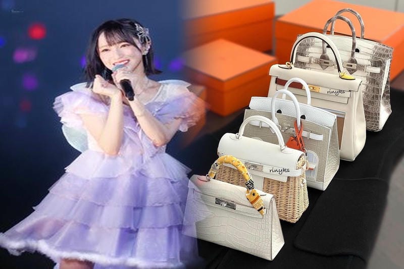 2025年のHERMES新作バッグ特集