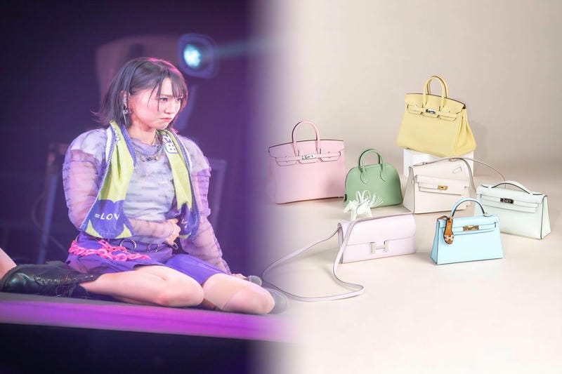 ピコタンの価格はいくら？最新価格情報