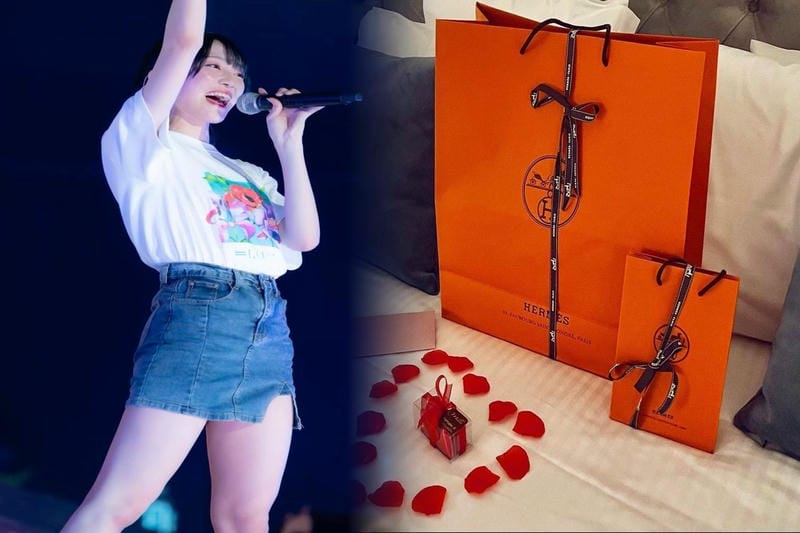 可愛い定番 エルメス【HERMES】Petit H バッグカバー GM