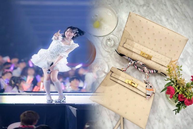 買取りのプロがエルメスのバッグ”ピコタン”を徹底解説