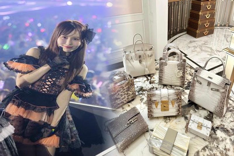 【即納】ヨンアさん愛用★HERMES★アリーヌ キャンバストート3色