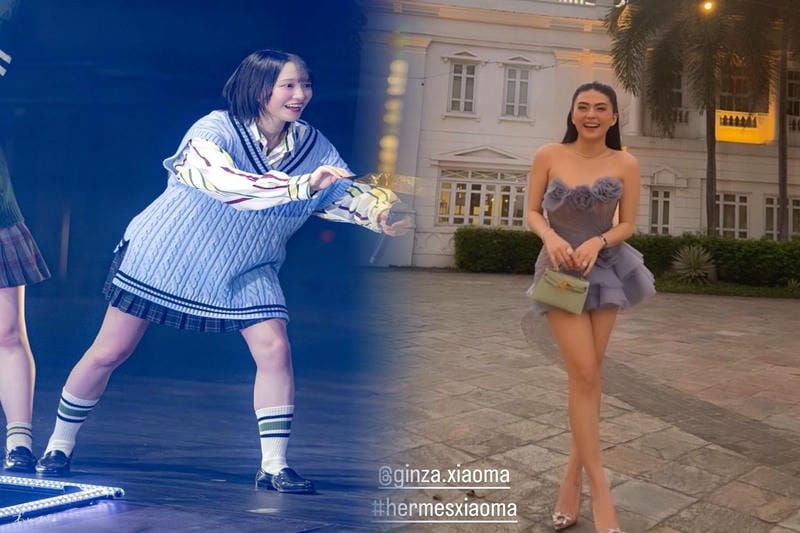 エルメスピコタンMMバッグインバッグ活用法｜便利な収納術を紹介