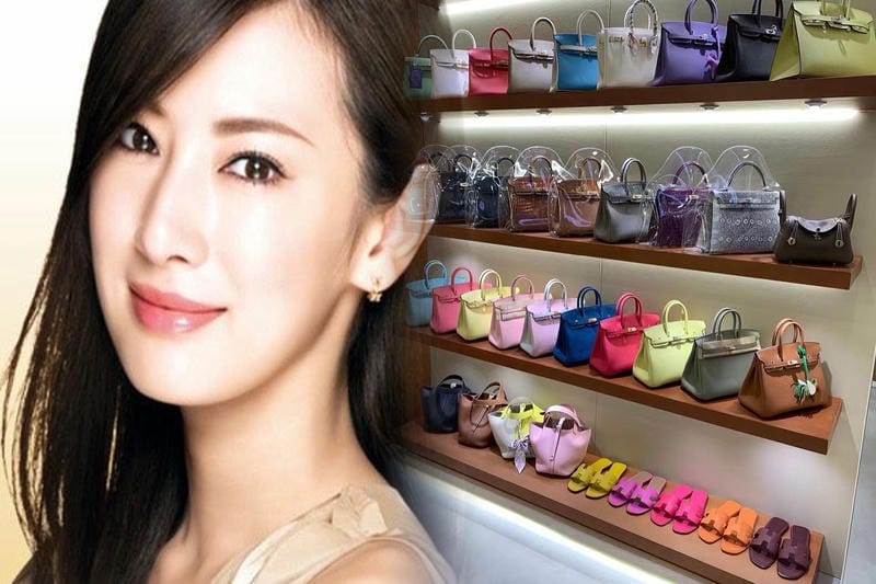 可愛い定番 エルメス【HERMES】Petit H バッグカバー GM