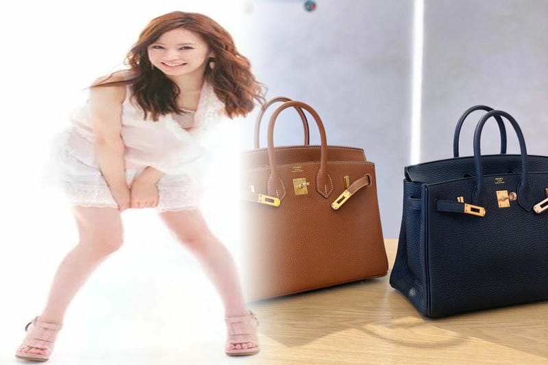 エルメス2025年バッグ特集｜過去の名作と現代の人気の理由