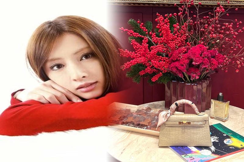 エルメストートバッグのキャンバスモデル：おすすめ商品