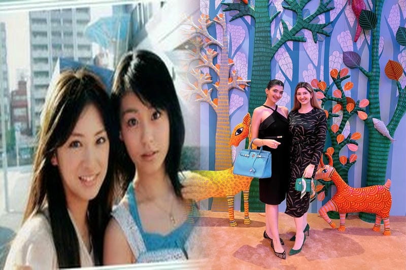 注目商品エルメス ポシェットケリー モーヴシルベストル