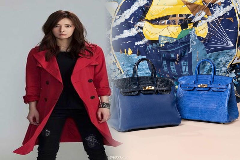 ★超希少★ HERMES エルメス ペガサス ロデオ PM バッグチャーム