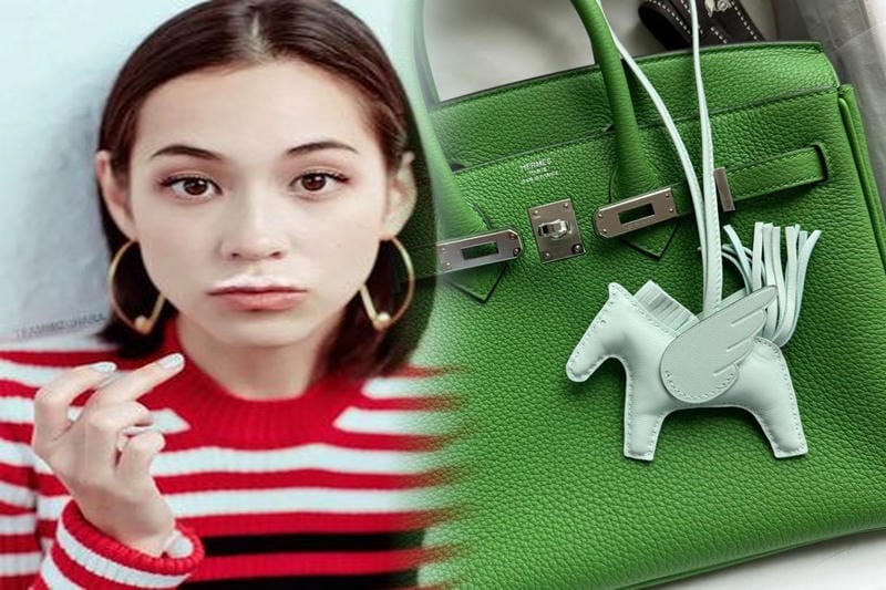 エルメスのバッグで一番高いのは何ですか？