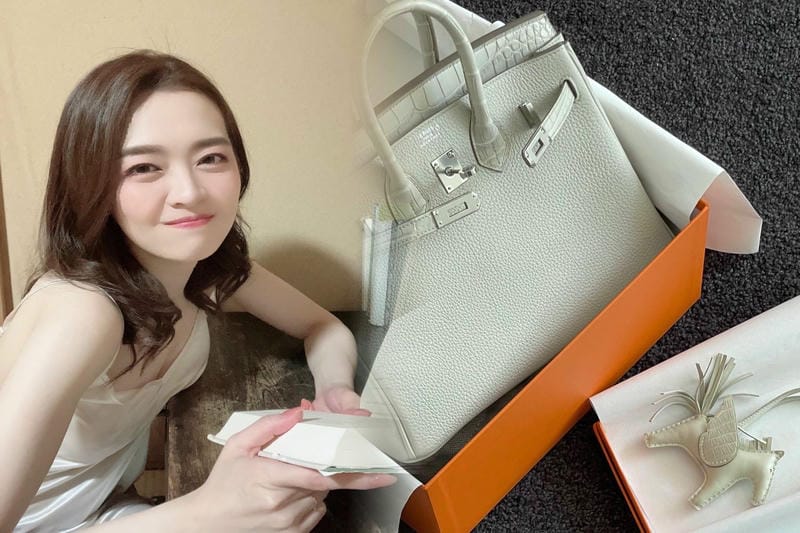 エルメス 手帳 レフィル 代用 vision