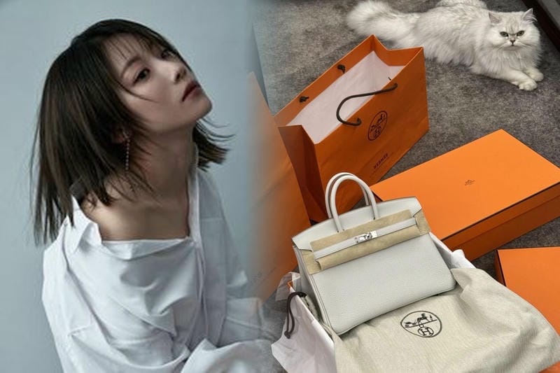 エルメスを購入するのに必要な年収の目安