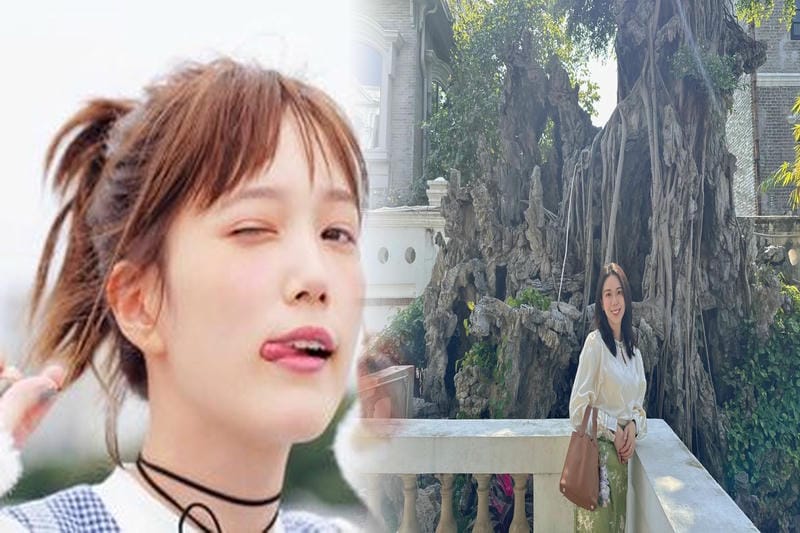 エルメス 名刺 入れ カルヴィ 使い勝手