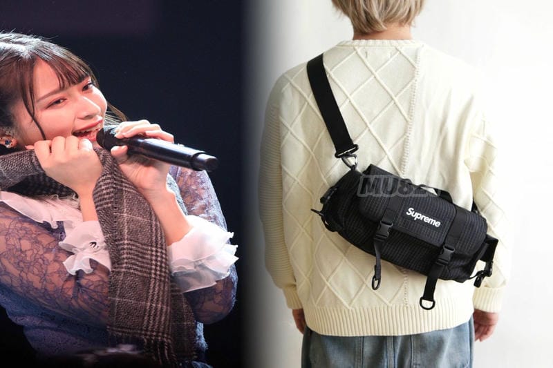 supreme north face ウエスト バッグ